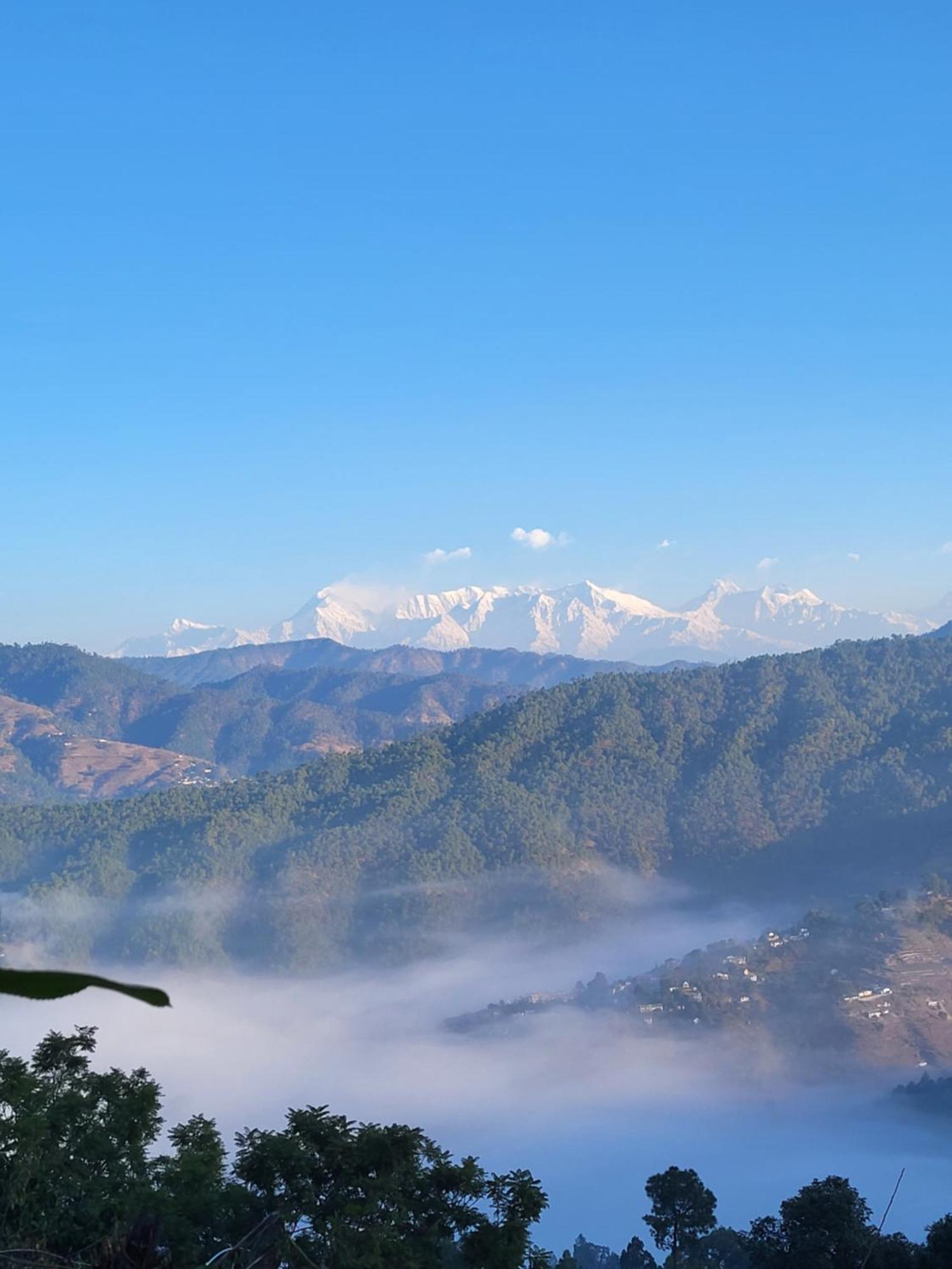 Zenoaks Homestay Almora Dış mekan fotoğraf